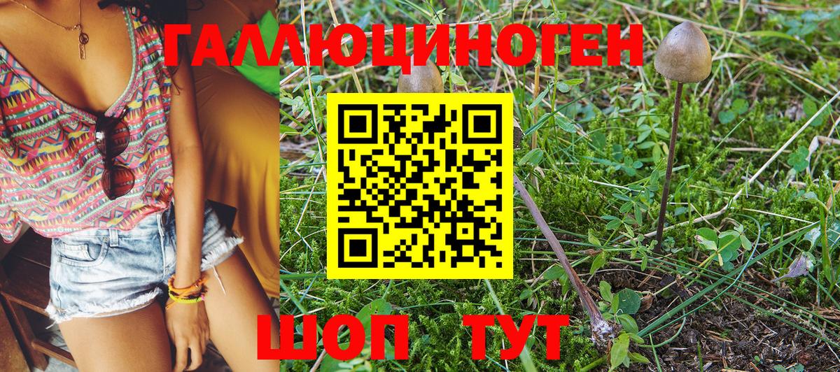 Псилоцибиновые грибы мухоморы Кулебаки