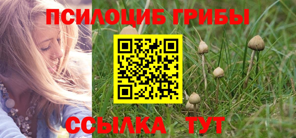 Псилоцибиновые грибы Magic Shrooms  Вход с VPN  Кулебаки 
